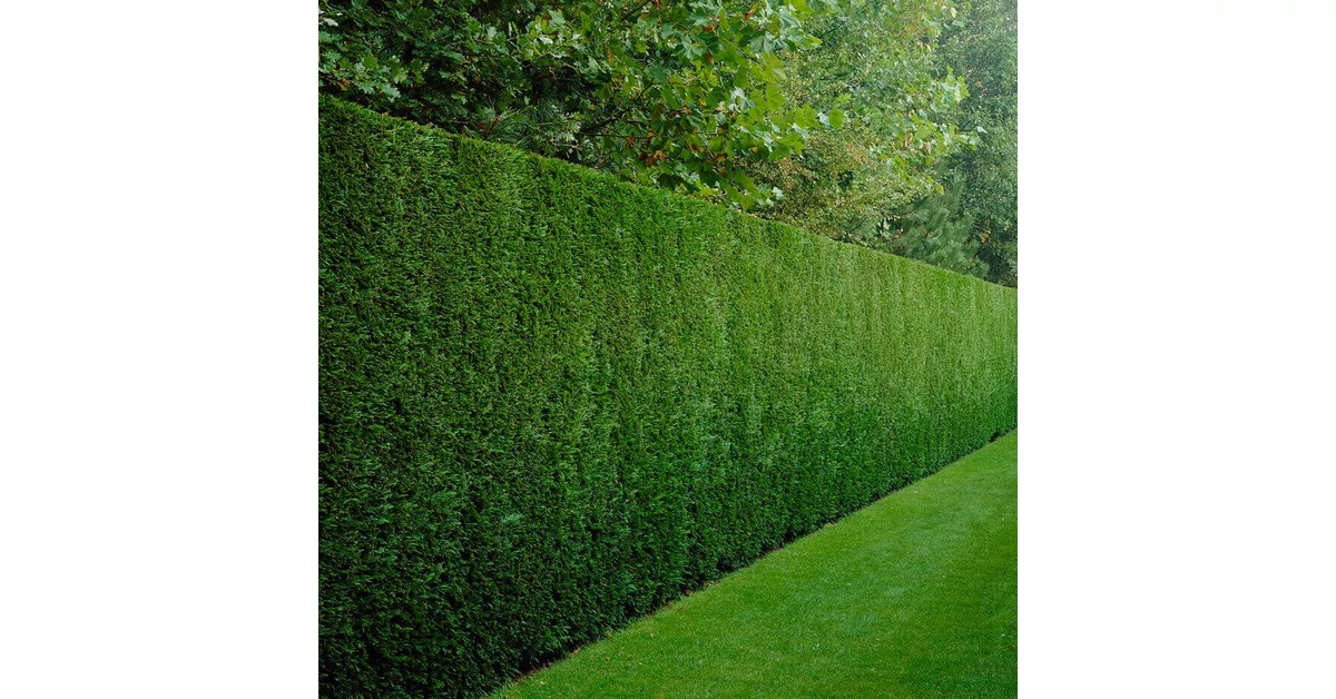 Ayollar katta klitoris porno bilan ayollarni sikish